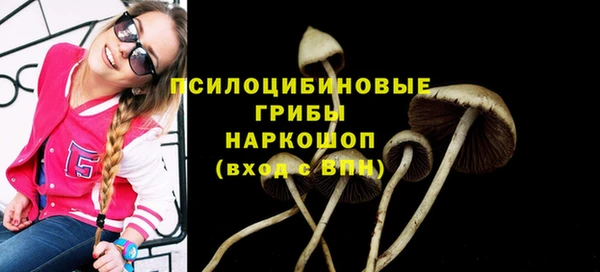 трава Иннополис