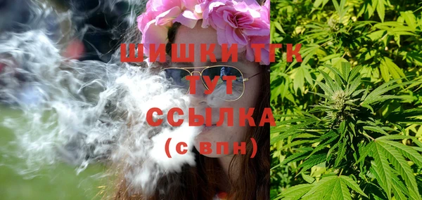 тгк Инта