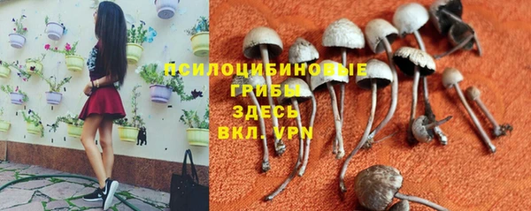 трава Иннополис