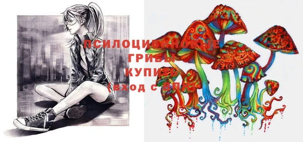 тгк Инта