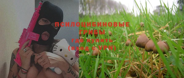 таблы Инсар
