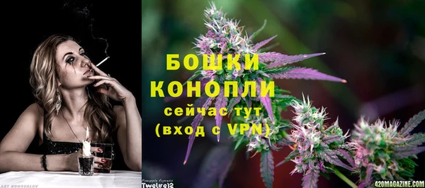 тгк Инта