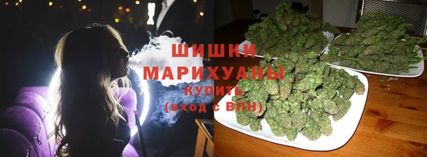 тгк Инта