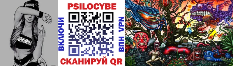 Купить закладки  Кинель  Псилоцибиновые грибы Psilocybe 